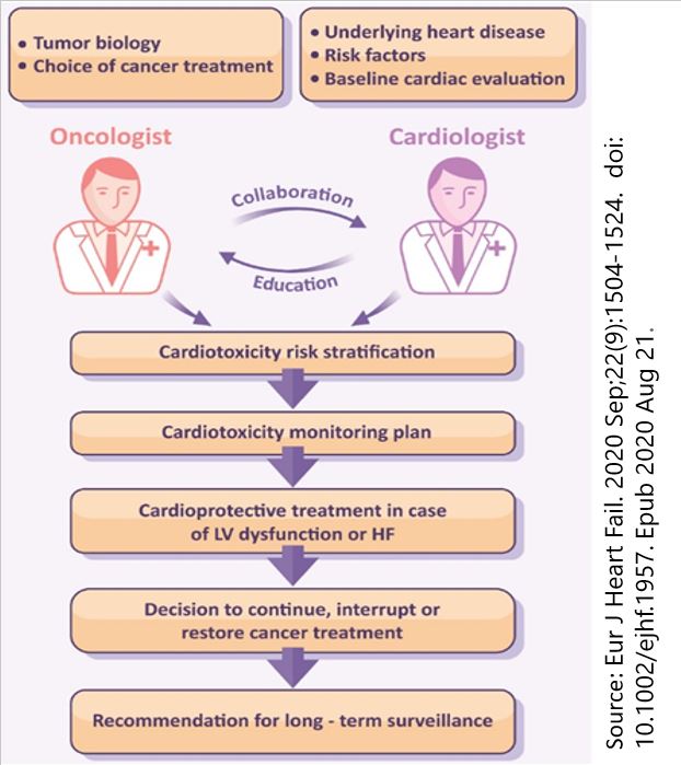 .@escardio welcomes the #EUCancerPlan proposal to strengthen the multidisciplinary #cancer workforce. With growing numbers of patients presenting more than one condition #integratedcare is vital. Cancer should not be treated in isolation.