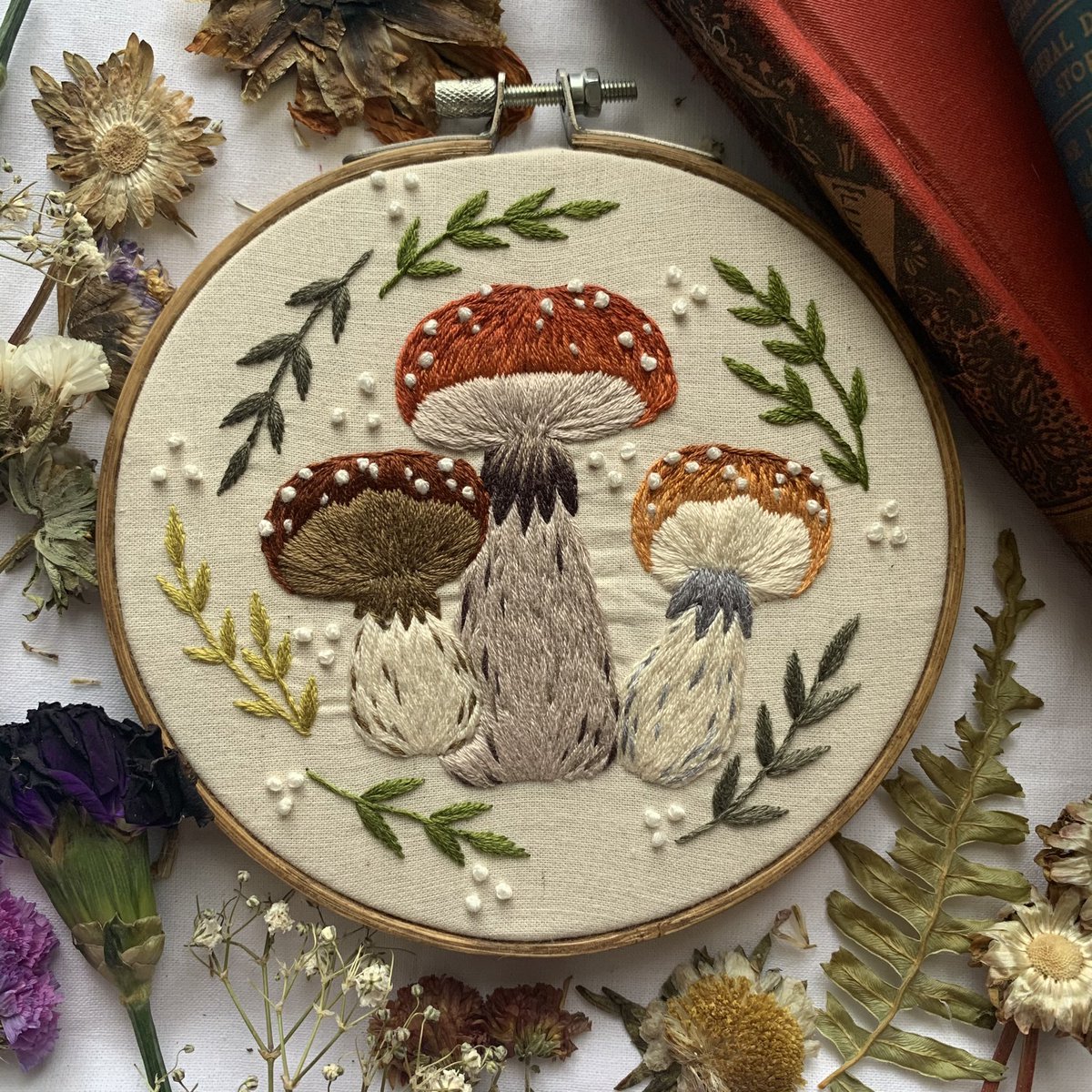 fernandfayethds's tweet image. Fungis that I cannot remember if I shared