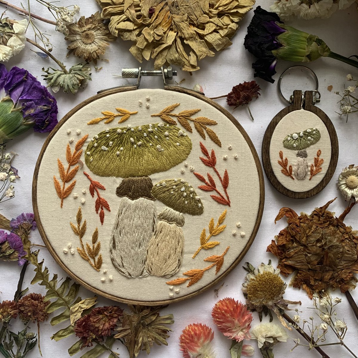 fernandfayethds's tweet image. Fungis that I cannot remember if I shared