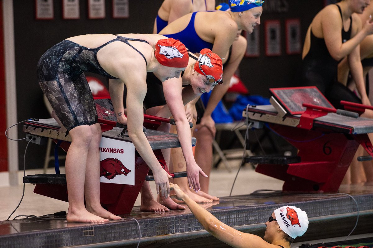Arkansas Swim & Dive 🐗 tweet media