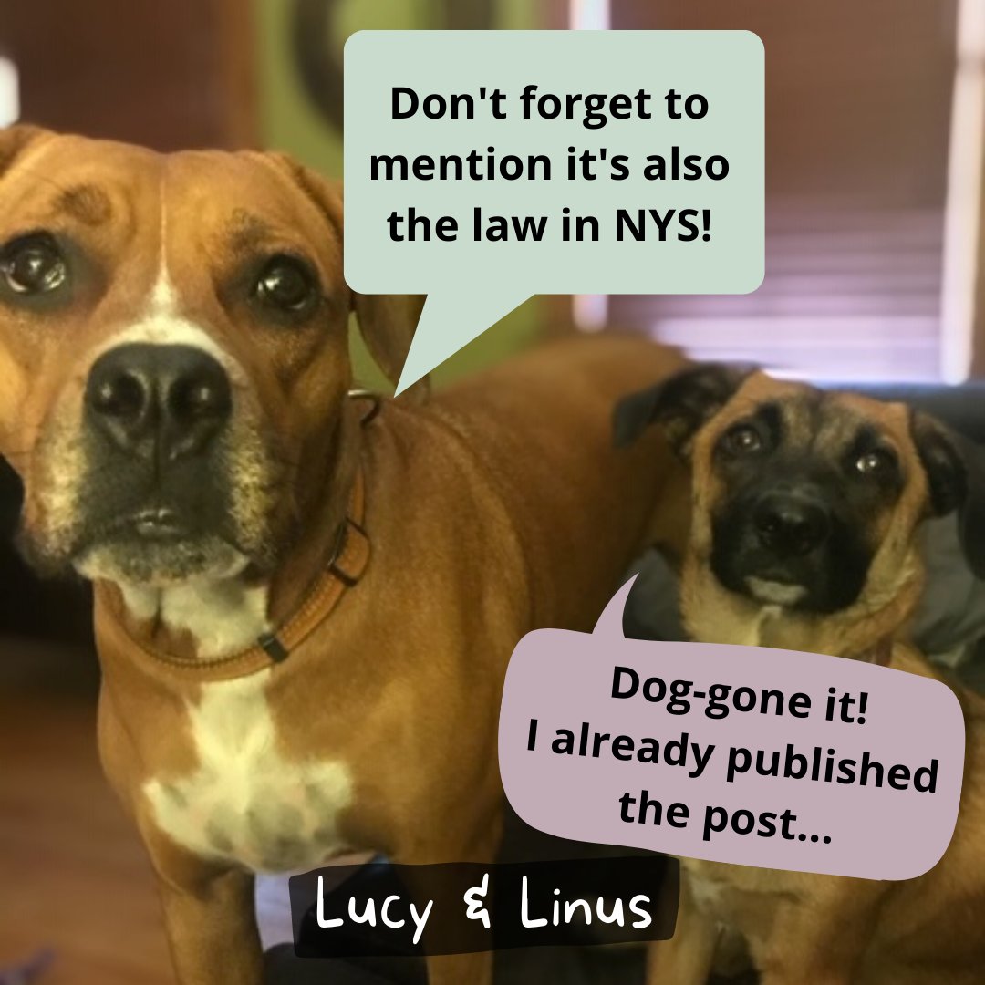 Troy, NY City Clerk (CityClerkTroyNY) Twitter