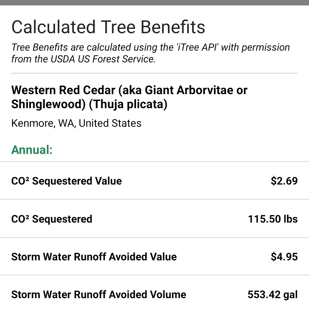 TreeMamaSEA's tweet image. Are you ready to learn more about trees?

Then DOWNLOAD and SHARE our community science tree app - #iSeaTree V2 - NOW AVAILABLE for the USA &amp;amp; CANADA! 

Calculate CO2/H2O benefits of trees or even take a remote stroll/scroll through our &apos;Tree Tour&apos; map.

tinyurl.com/2xyo5wff
