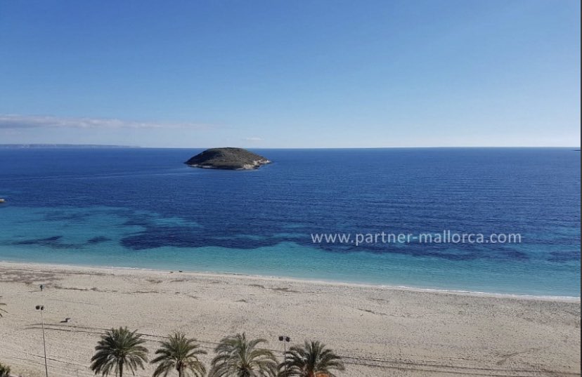 PartnerMallorca's tweet image. Аренда апартаментов с ошеломительным видом на #средиземноморье #Майорка #Magaluf #Palma #Summer2021