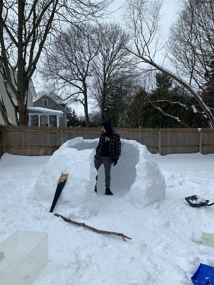 Construction continues.They're building an igloo!