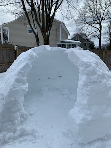 Construction continues.They're building an igloo!