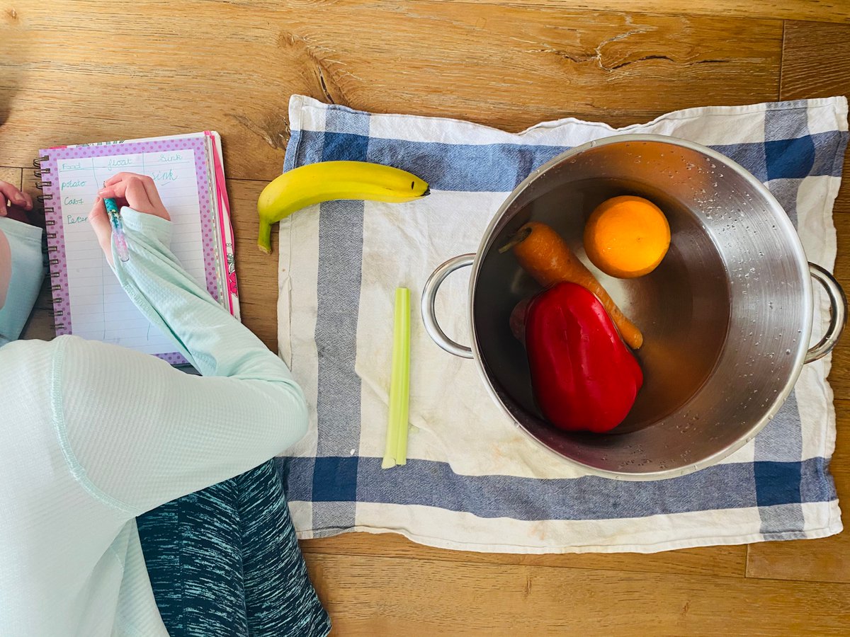 infanteducation's tweet image. Float or Sink? 🙌🏻
#simplescience