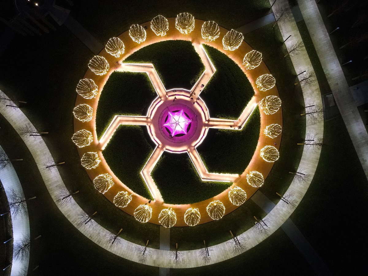 парк галицкого в краснодаре лабиринт. дерево в парке галицкого в зеркальном лабиринте. музыкальный лабиринт в парке галицкого в краснодаре. лабиринт зеркал парк галицкого. лабиринт зеркал парк галицкого.