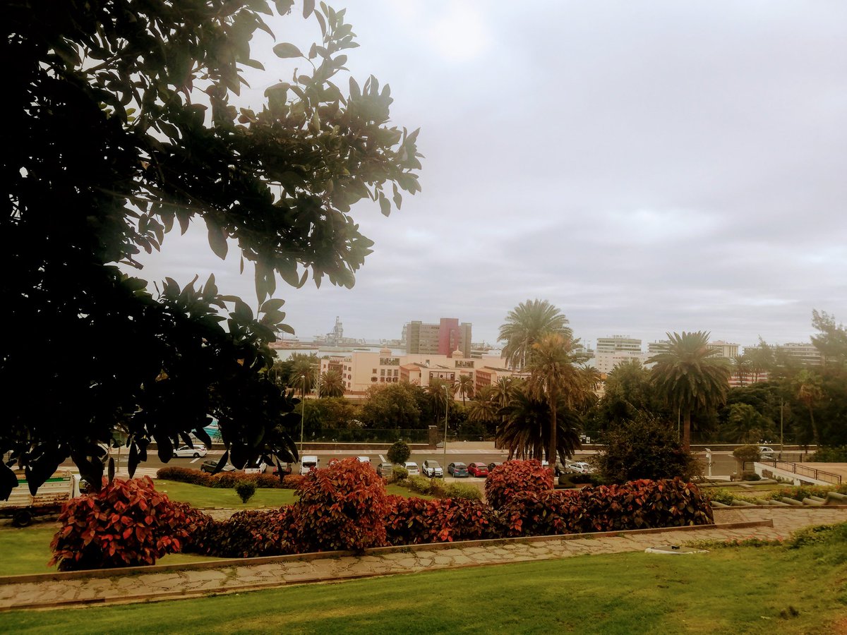 BiciGranCanaria's tweet photo. 🚶‍♂️🏙️
13K por la Ciudad 
🎧#BreadMusic
📷#ParqueDoramas
1 #AtisTirma
2 #BalconesCanarios
3 #PaseoDeChil
#LasPalmasDeGranCanaria
#GranCanaria
#SenderismoGranCanaria
#GranCanariaHiking
#GranCanariaSenderismo
#Caminar #Walk #Senderismo #Hiking
#DIABETESTIPOFREE
#MUÉVETEFRENTEALCÁNCER https://t.co/6NxBzPCI4K