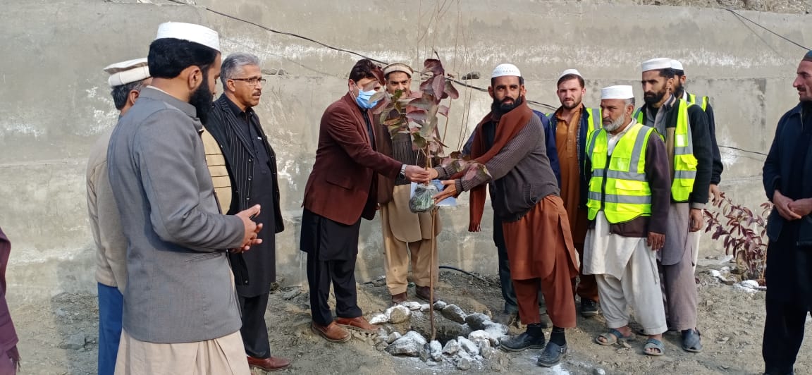 btap2015's tweet image. Deputy Commissioner Torghar  and SDFO  inaugurated #SpringPlantation Drive in District Torghar and distributed free plants among the public. He urged to the public to plant maximum trees/saplings in forthcoming spring season at every available free space. #10BillionTreeTsunami