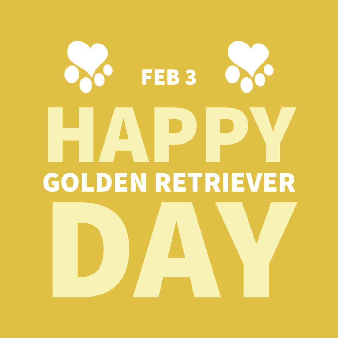 Happy #GoldenRetrieverDay! Read about how we created this day many years ago! iheartgoldenretrievers.com/national-golde…