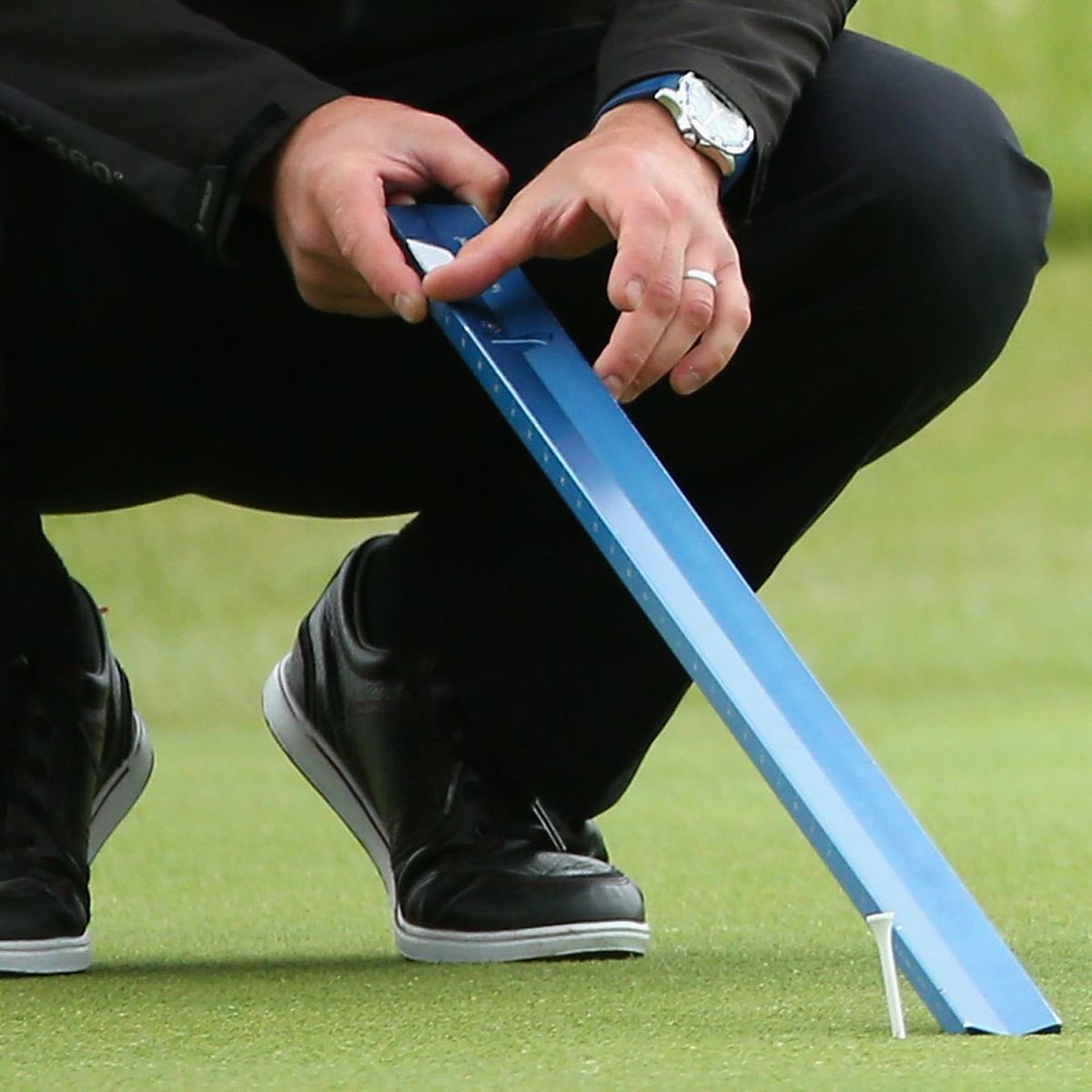 Turf_Kid's tweet image. Will the 2pm stimp reading be live today?  Asking for a friend. #keeprollin