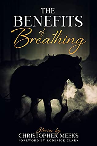 MeeksChris's tweet image. NEW #FICTION:

"Each story takes on a life of its own and leaves you wanting more... I would recommend reading 'The Benefits of Breathing" to lovers of #shortstories, as it leaves you with a lot to think about." @QuirkyBook

quirkybookreads.wordpress.com/2021/02/03/the… #books @BlackthornTours