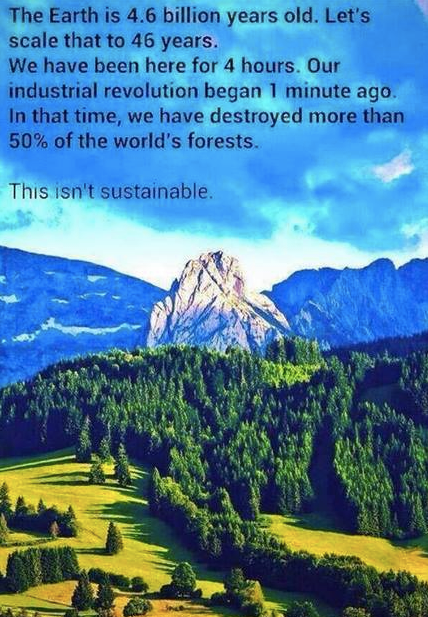 AmericanIndian8's tweet photo. #INDIGENOUS #TAIRP https://t.co/669nlzHx2o