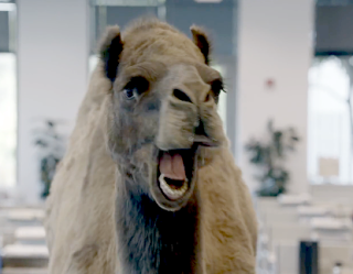Offutt55FSS's tweet photo. Mike Mike Mike, guess what day it is? @Offutt_AFB https://t.co/MSgTVVUuD8