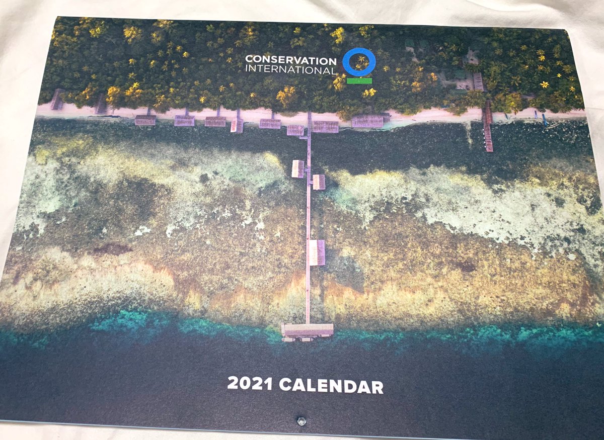 Siti M (@sitsm) on Twitter photo Pretty sure that that's a #Seagrass meadow on the cover of the 2021 <a href="/ConservationOrg/">Conservation Intl</a> calendar. Is this the year we #showseagrasssomelove ? 😏 Pretty sure that that's a #Seagrass meadow on the cover of the 2021 <a href="/ConservationOrg/">Conservation Intl</a> calendar. Is this the year we #showseagrasssomelove ? 😏