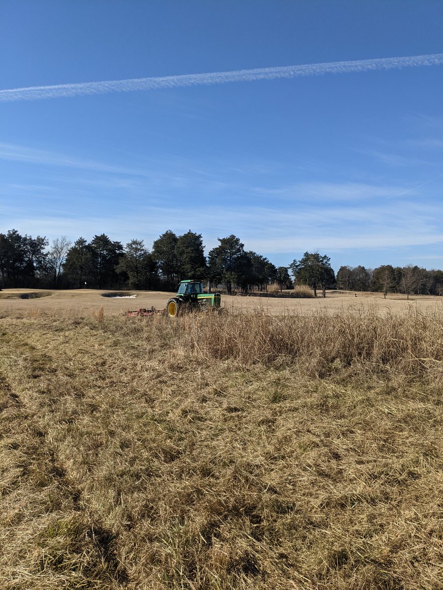 Hate to see the fescue go, but at least I should be able to load up on golf balls for the year.