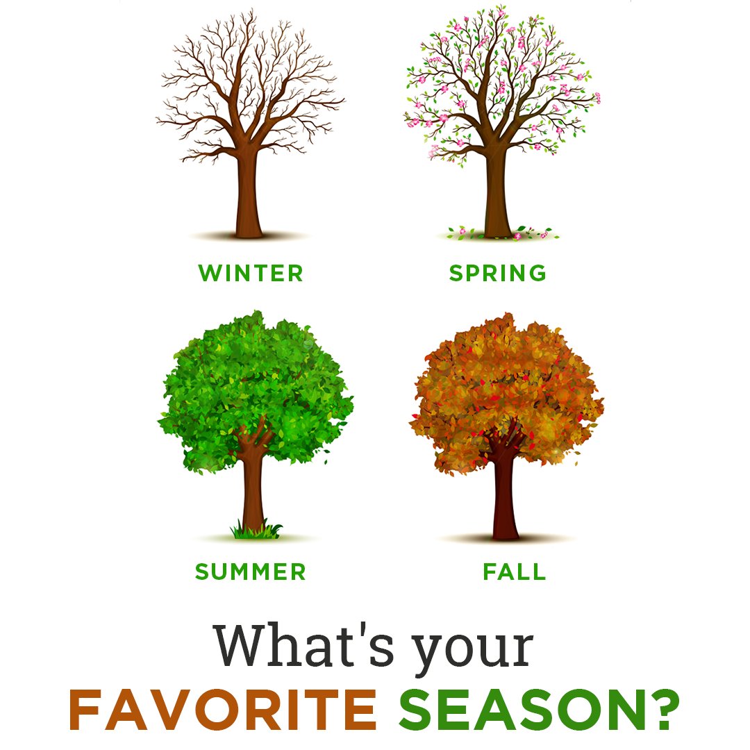 #QuestionsChallenge #questiontime #questionoftheweek #questionablecontent #creditmanagement #creditRepairLife #creditchallenge #CreditFacts #creditbuilding