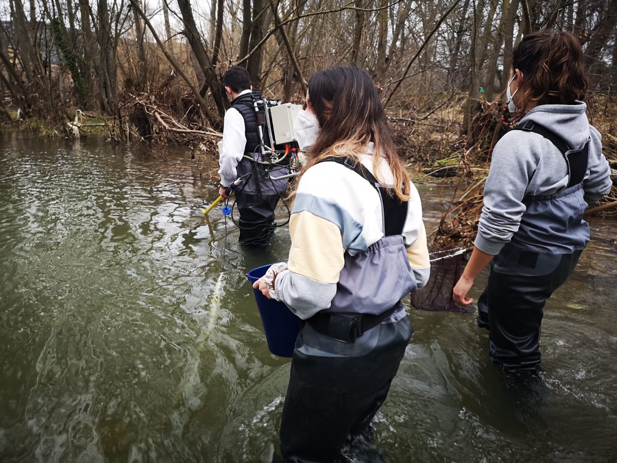 museoCCNN_unav's tweet photo. ¿Qué impacto causan las especies invasoras en #Pamplona? Así estamos viviendo el censo de peces del @labmecrazy: aprendiendo mucho, con aforo y con algo de fresco 🎣

Las entidades que han hecho posible esta II edición
👇👇👇👇
@LABORALkutxa @Pamplona_ayto @gob_na @FECYT_Ciencia https://t.co/nW4pAgomqK