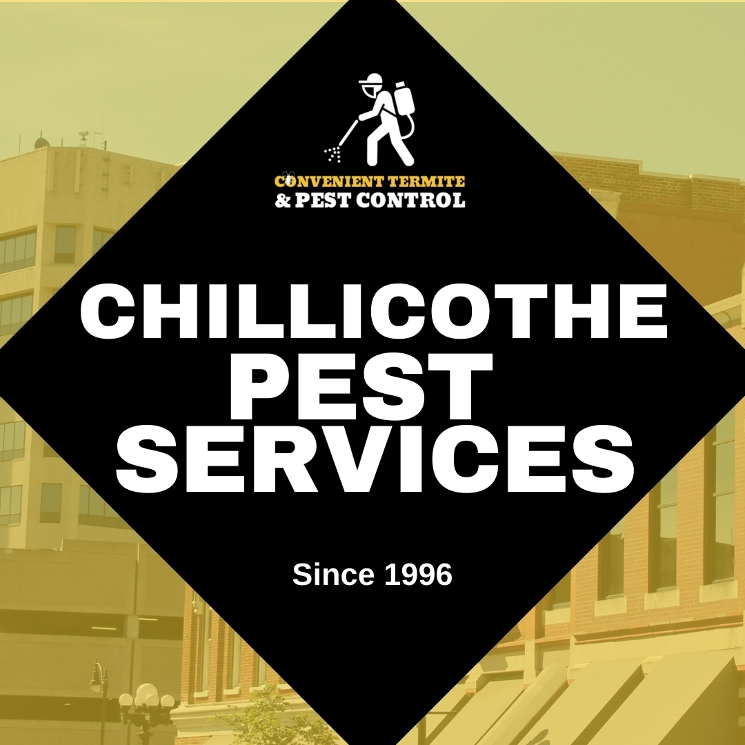 Convenient Termite Pest Control Convenientpest Twitter