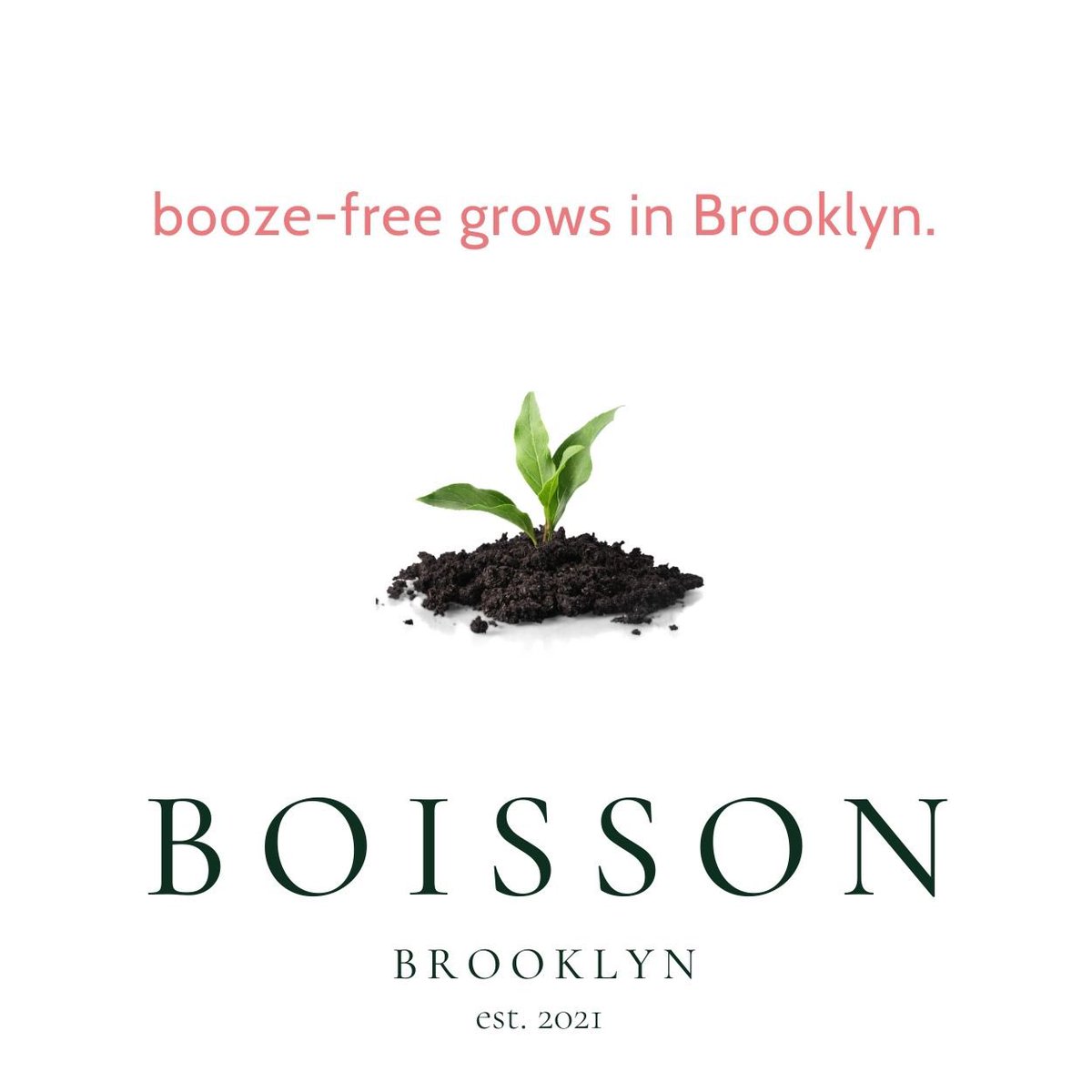 Opening soon on Court Street 🍃🍸#sansalcohol #sobercurious #bottleshop #mixology #brooklyn #boisson