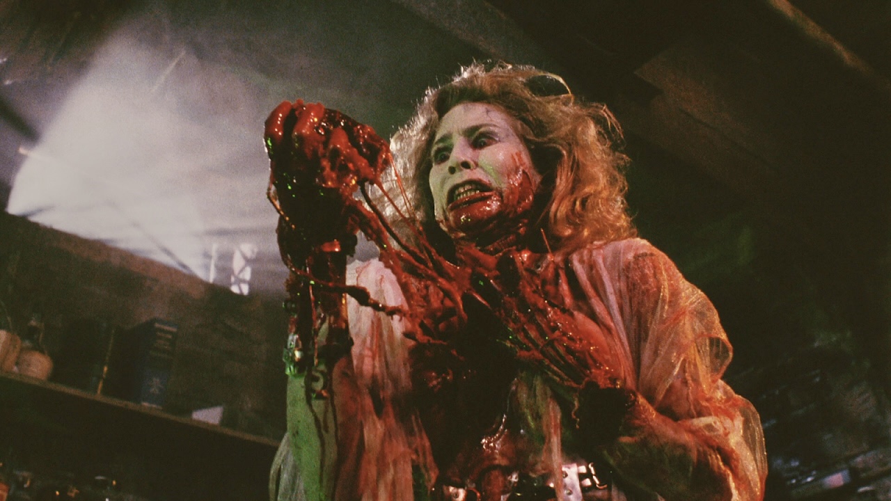 Happy Birthday to Kathleen Kinmont!   