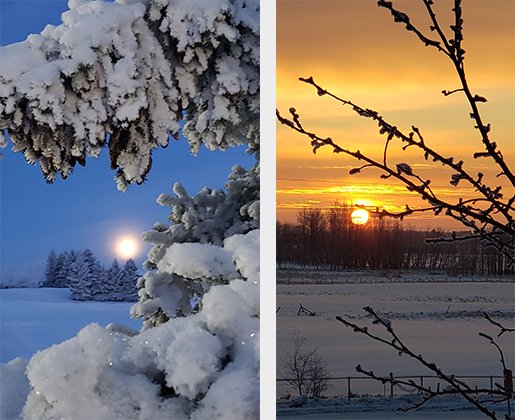 cesd73's tweet image. Rural beauty - Poplar Ridge School's admin support, Michelle Salomons, captured the dawning of a new winter day with the moon through one window and the sun through another!