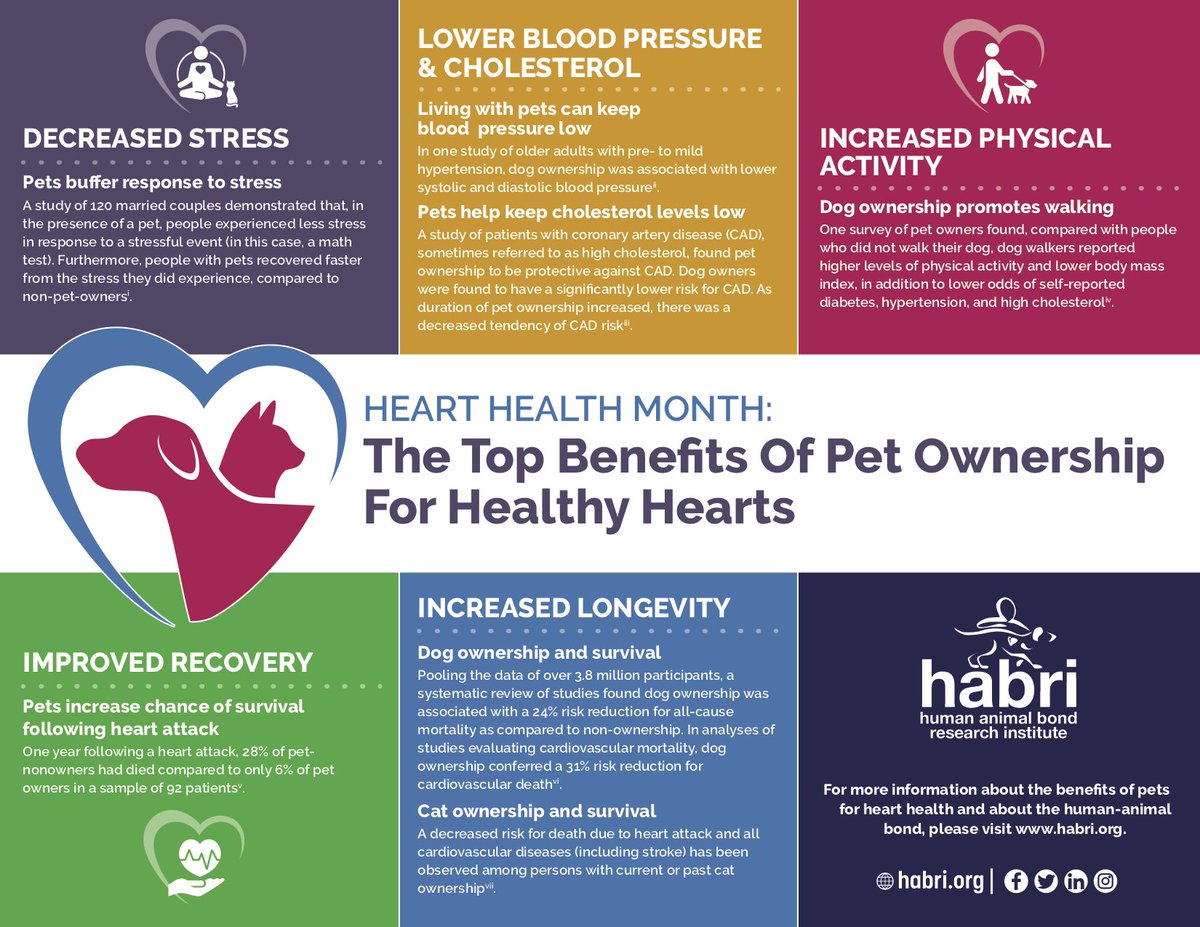 HABRITweets's tweet image. Pets make our ❤️strong. Help HABRI raise awareness of the health benefits of pet ownership for cardiovascular health this #HeartHealthMonth by sharing our newest infographic: ow.ly/rNvo50DqiDn