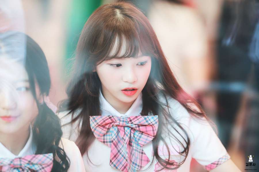 mintwon01's tweet image. 𝒕𝒉𝒆 𝒇𝒍𝒐𝒘𝒆𝒓 𝒊𝒔 𝒃𝒍𝒐𝒐𝒎𝒊𝒏𝒈🌸🌸🌸