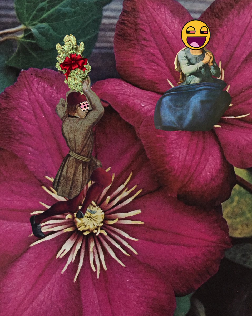 Se acerca San Valentín... 💚😍
.
.
S 'apropa Sant Valentí 🌹🌳
.
.
Valentine's Day is coming 🥰🌺
.
.
.
.
.
#greenage #greenageart #greenageclub #collage #trash #cannabisclub #sanvalentin2021 #valentinesday #budflowers #lovers #stoners #highsociety #collageart #cannabiscollage