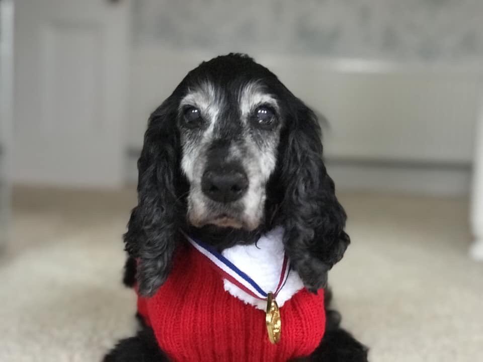 With this all the way <a href="/grimmers/">nick grimshaw</a>. Our hound was Mitzi, which rarely got used. Her main ones were ‘P.I. Pooch’ (Pet Investigator as she was nosey as hell!), ‘Mitz-Meister’ &amp; ‘Pupsicle’. Here is her most regal pic when she was the Mayoral Dog of Surrey Heath in 2018!