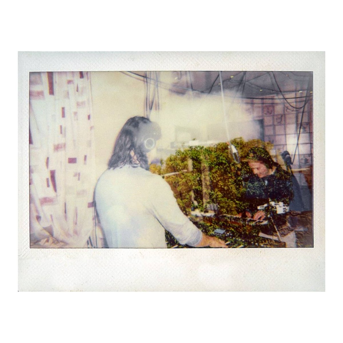 INSIDEAWAVE tweet media