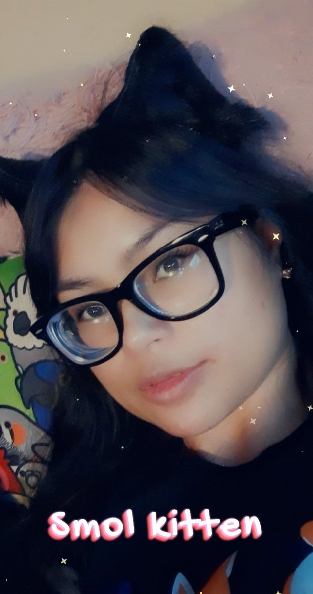 littlekittenkay's tweet photo. Mew β‘ #kittenplay #kittengirl #petplay #petgirl #petplaycommunity #kittenplaycommunity #nekogirl #catgirl #bdsm #submissive #kink #subgirl #petplayer #kittenplayer #kittenplaygear #kittengear #masterskitten #petplaykink #kittenplaybdsm #petplaybdsm #bdsmcommunity https://t.co/zSsh0Bj5gH