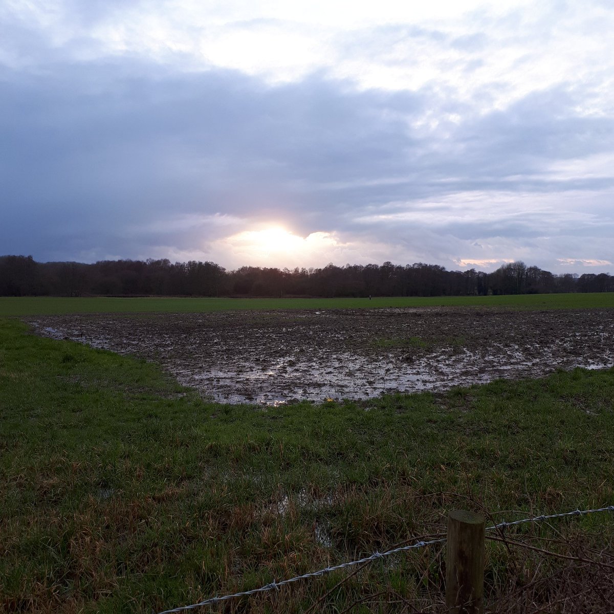 theLucyStrange's tweet photo. After a day of rain, it's all a bit boggy-boggy-marsh-marsh (as my toddler would say). All a bit boggy-boggy-marsh-marsh in my brain too, but hey ho! Plough on, people, plough on! #sanitystroll https://t.co/0c7tPR0KMK