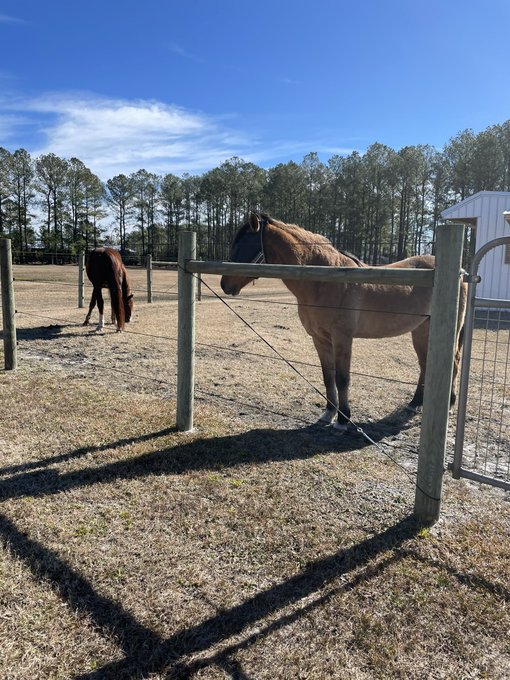 This is the place I learn the most about myself https://t.co/LNrkWolWcV