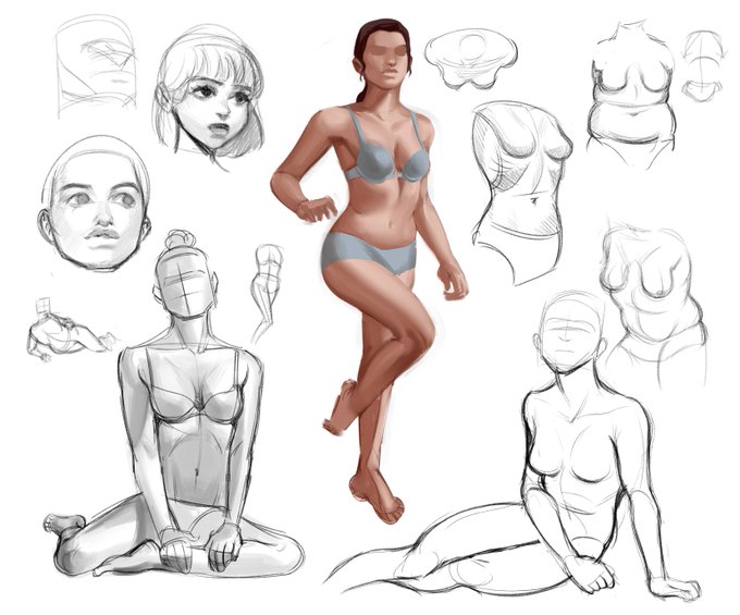 Studies 