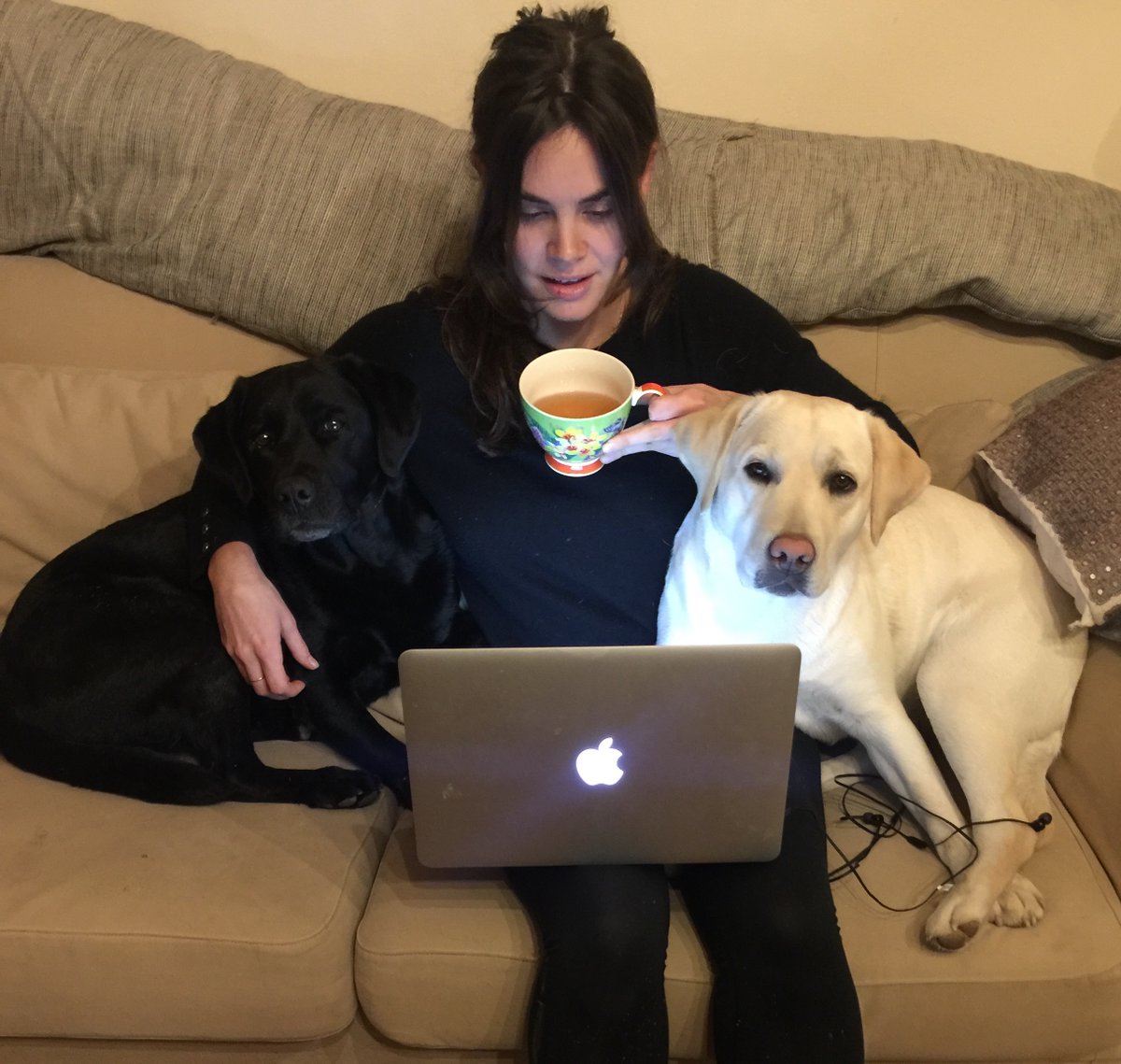 Natasha Gammell tweet media