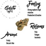 Image for the Tweet beginning: Gelato🍨🍧 #leafly #WeedLovers #sativa #indica