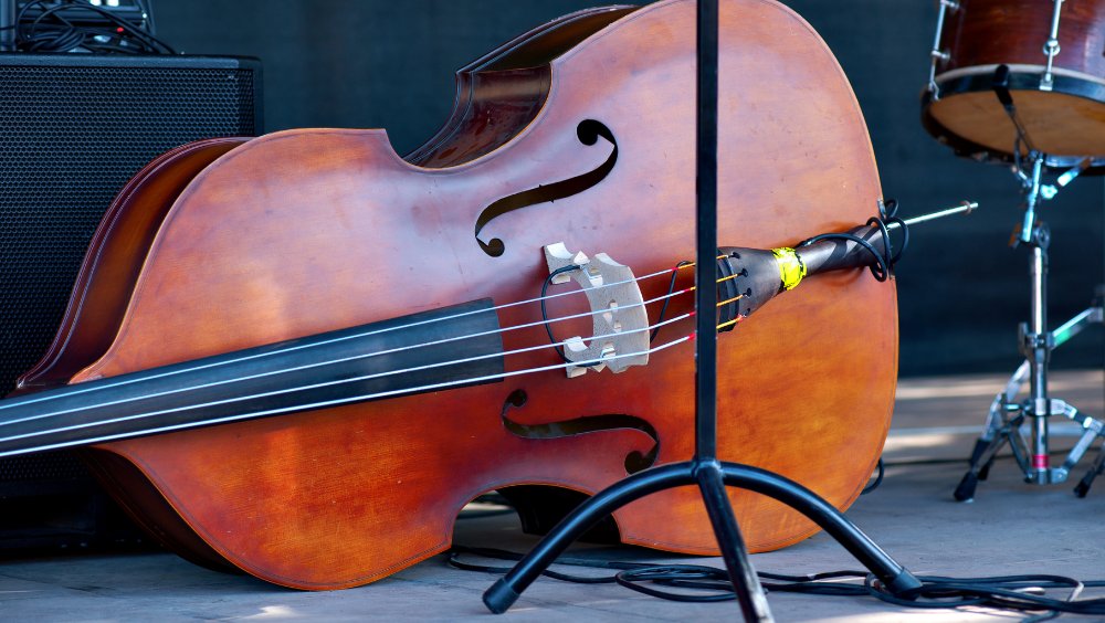 berksmusictrust's tweet photo. Did you know double basses come in smaller sizes for children? 8-12 year olds can join our Double Bass in a Day course on Thu 18 Feb. Sign up by 8 Feb. https://t.co/EsrY90YART #HalfTermCourses #musiccourses #musicalfun https://t.co/EixZsjQviK