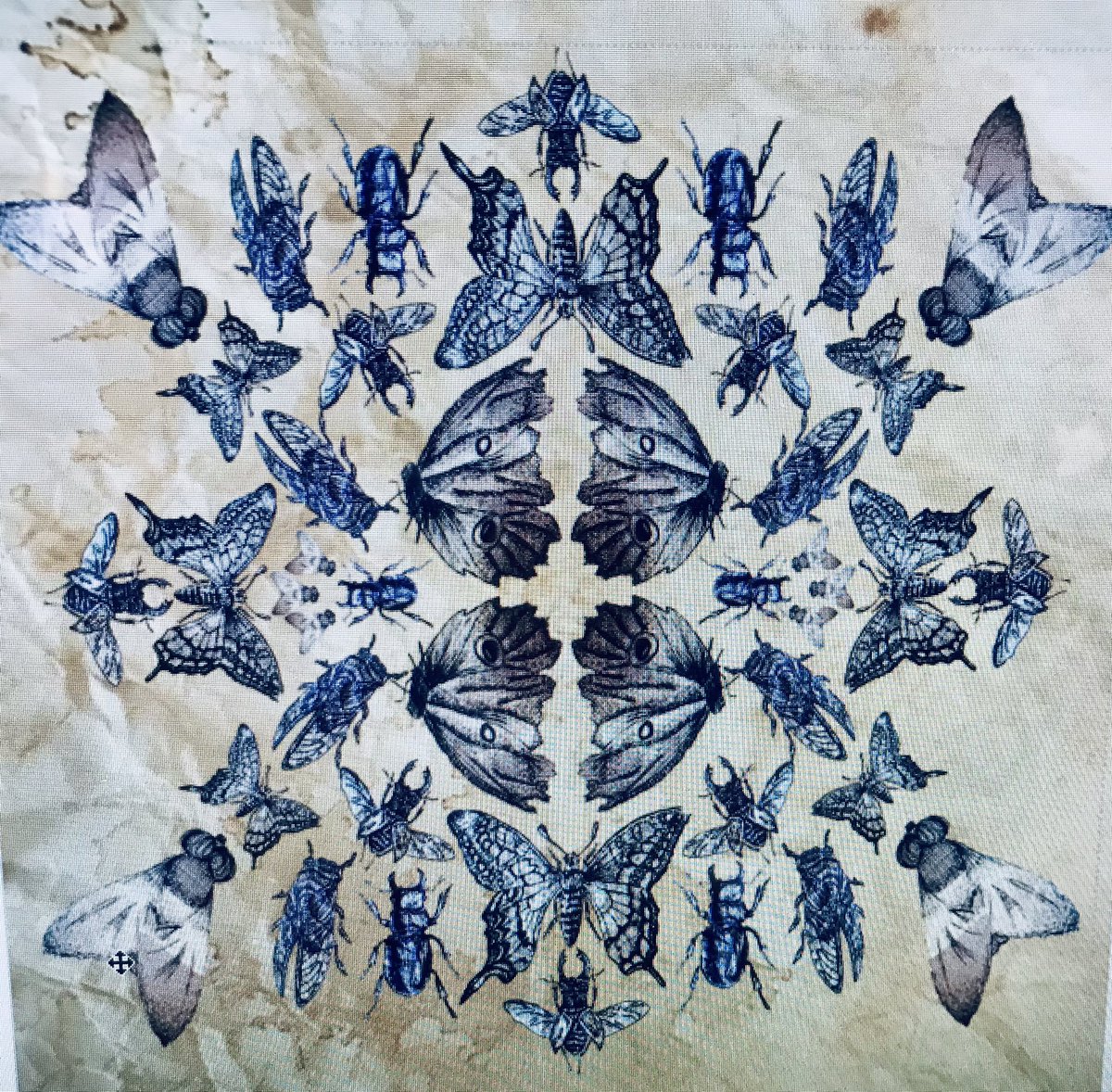 BennettTextiles tweet media