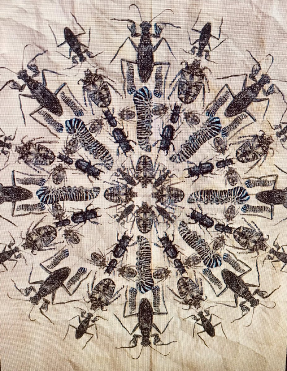 BennettTextiles tweet media