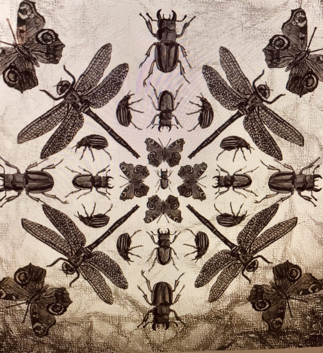 BennettTextiles (@bennetttextiles) on Twitter photo Textiles <a href="/bennettmemorial/">Bennett Memorial</a> Hand drawn black biro insects turned into prints using PPoint. They would make for beautiful silk scarves! Textiles <a href="/bennettmemorial/">Bennett Memorial</a> Hand drawn black biro insects turned into prints using PPoint. They would make for beautiful silk scarves!