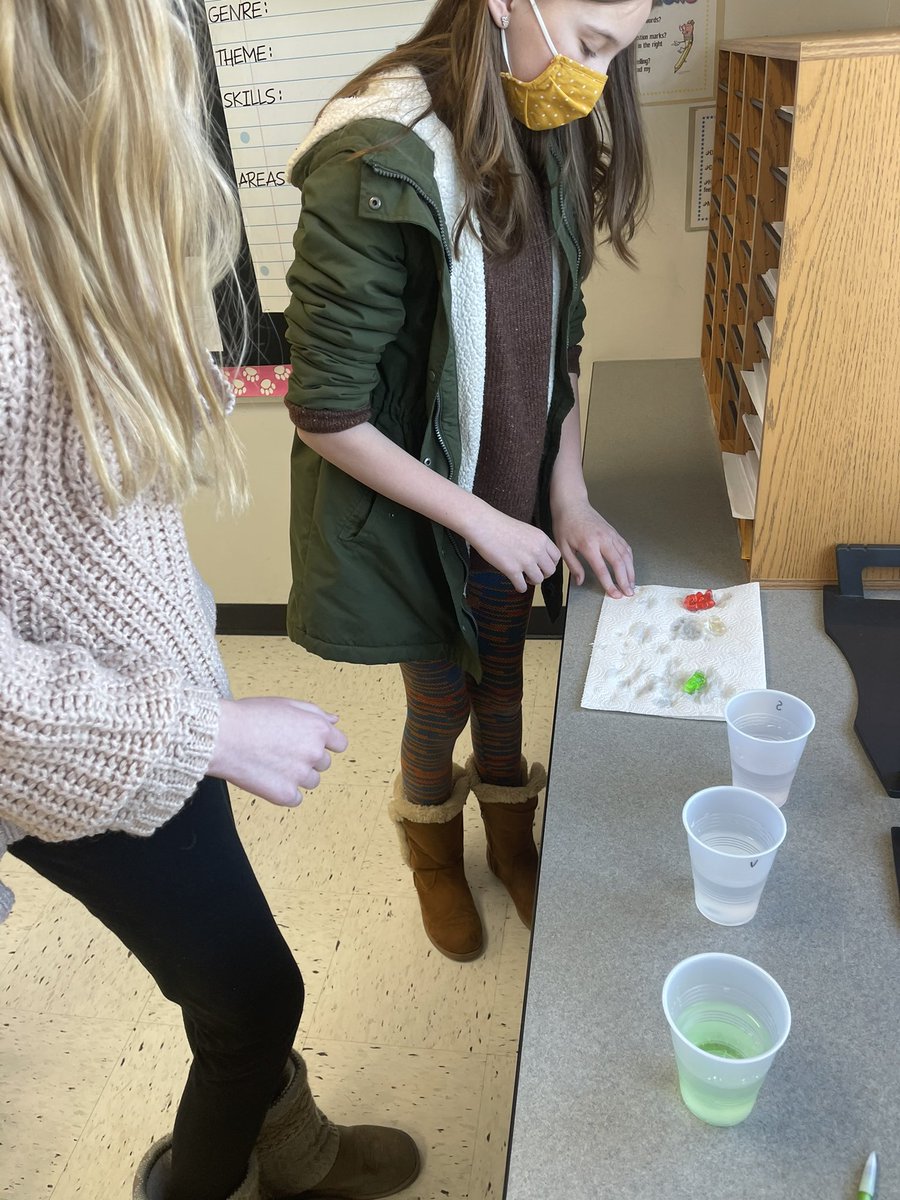 ashleybadger's tweet photo. Ss having fun learning about the #scientificmethod with gummy bears soaked in water, vinegar and sprite! #sciencerocks #giantgummybears @115GRES https://t.co/4CaWPSlfU1