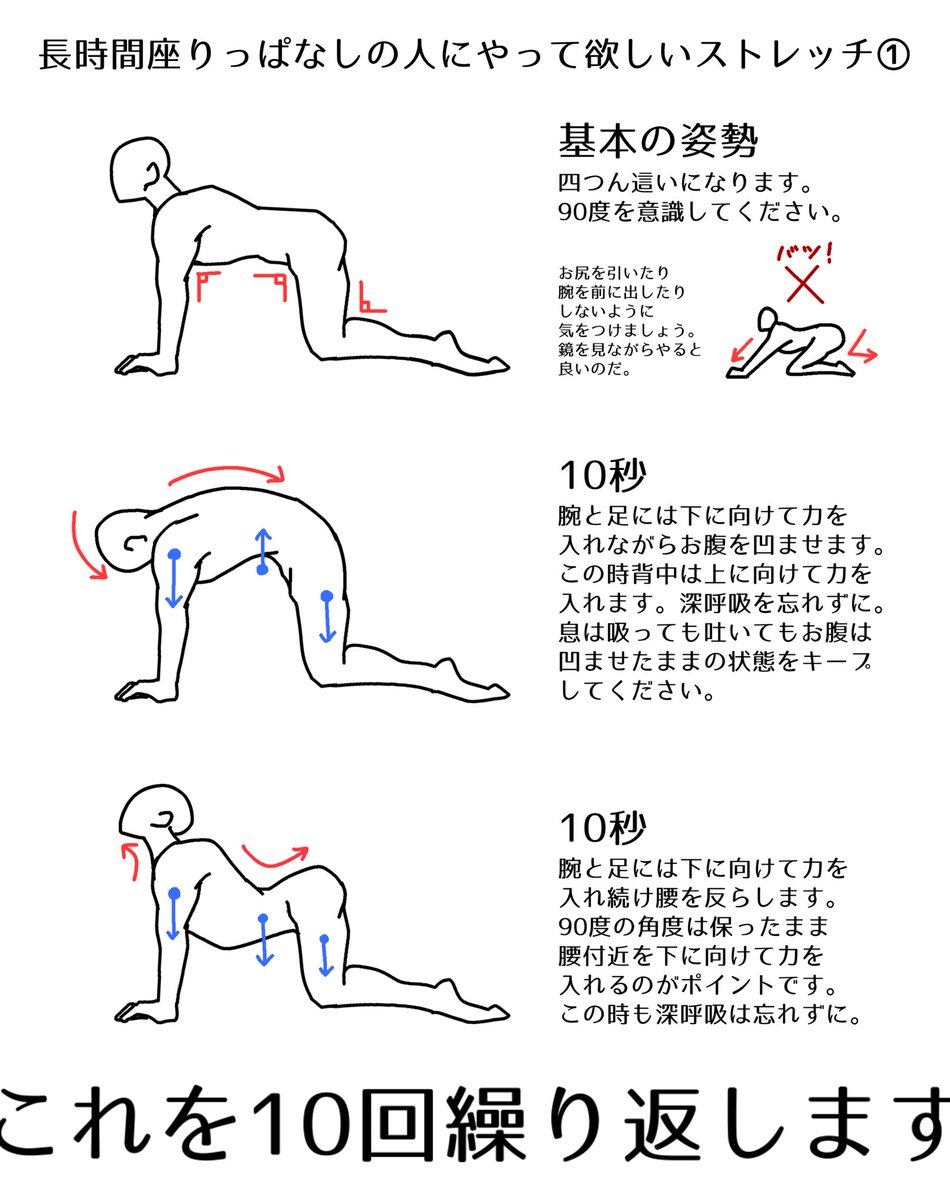 骨盤の筋肉を鍛えるソレではありませんが、筋肉はほぐして柔らかくするだけでも衝撃を吸収しやすくなり痛みが軽減したりするらしいので長時間座りっぱなしの人にやって欲しいストレッチをまとめました。
皆で目指そう健康デスクワーク५✍ 