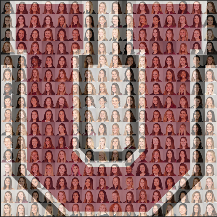 Union Athletics tweet media