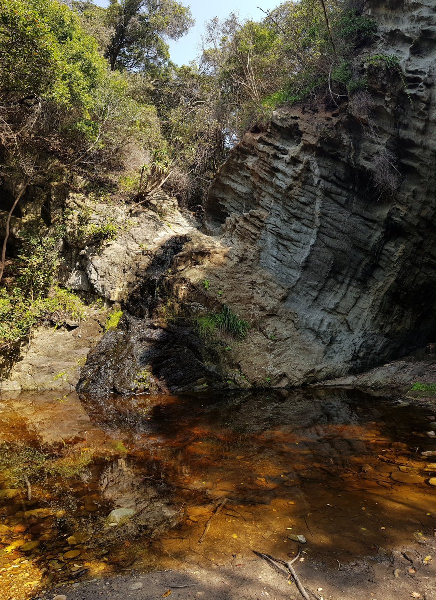 gotravelbug's tweet photo. Natural escapes with unbelievable beauty!! #GardenRoute 
@TsitsikammaT @SANParksGRNP @travelopulent #TravelChatSA #SouthAfrica https://t.co/5aNvw2wOQI