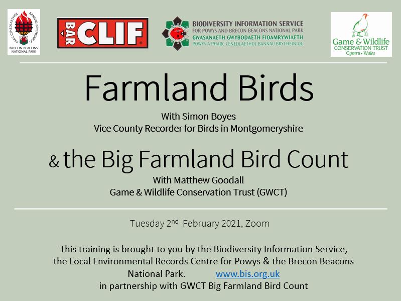 Our event talks on Farmland Birds &amp; the Big Farmland Bird Count are now on our you tube channel. youtube.com/channel/UClJdZ…  <a href="/GwctWales/">GWCT Cymru | Wales</a>
