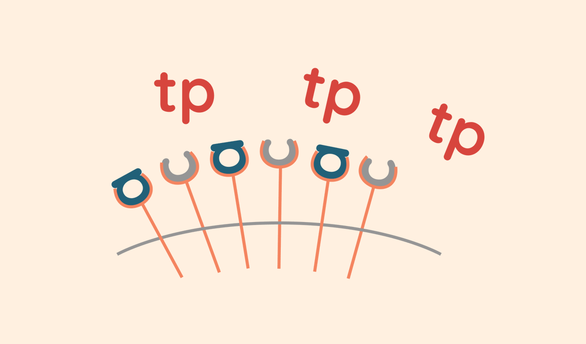 6/7If you consistently consume too much caffeine, eventually, your body catches up.It creates more adenosine receptors for the adenosine that’s feeling left out.