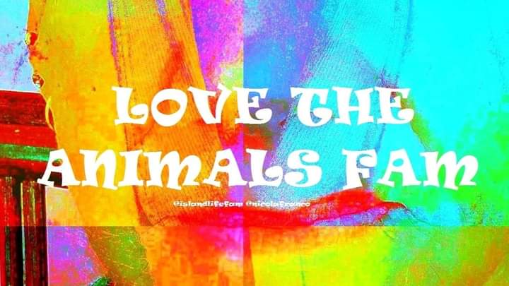 nfranco1111's tweet photo. Island Life Fam
#iam #lovewins #celebrityblog #trinitimes #trinidadandtobago #hippielifestyle #richlifestyle #celebrity #entrepreneur #hippievibes #beach #livinginabundance #higherconsciousness #5thdimension #romantic #girlsborntravel #entrepreneurspirit #spiritual #OneLove https://t.co/kQYQcyQKWO