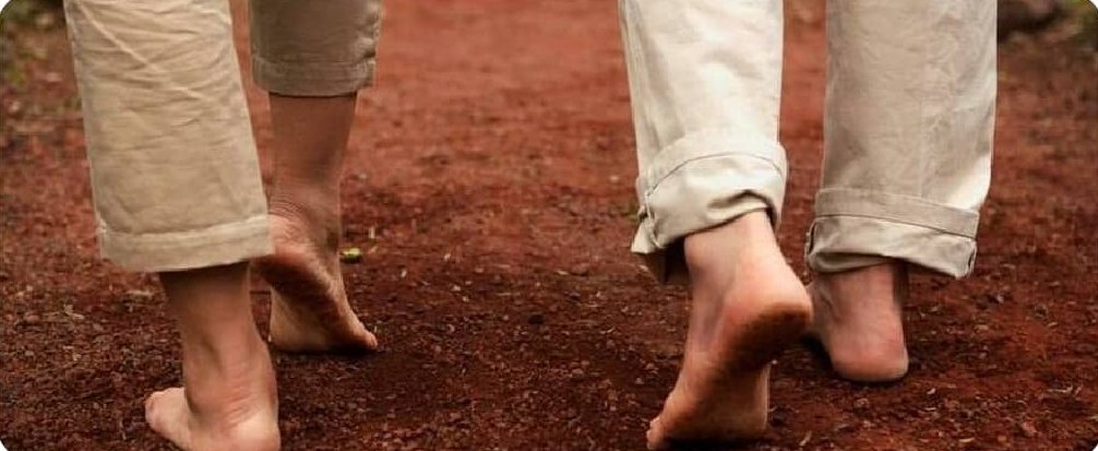 Toprağa yalın ayak basmak elektron transferini hızlandırır ve kırmızı kan hücrelerini %280 arttırır. Böylece kana büyük oranda oksijen girer. Aklınıza gelebilecek bütün büyük hastalıkların tehlikesi azalır ve bağışıklık sisteminizi güçlendirir.