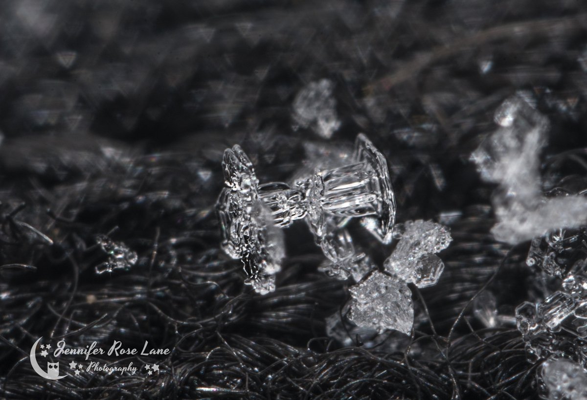 Jens_Starry_Sky's tweet photo. More #ColumnSnowflakes 🙂❄️💙 #snowflakes #cold #winter #WinterPics #SnowflakePics #macro #supermacro #MacroPics #weather #WVweather @StormHour @MacroHour @SnowHour https://t.co/rRwI1l6Yvk